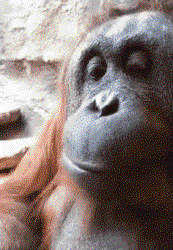 1785555083855.gif
