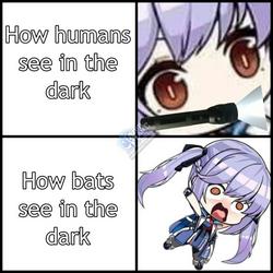 1785599541086.jpg